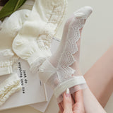 🌿✨ Encanto de Encaje Dulce ✨🧦