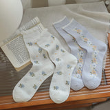 🌷Calcetines con Detalles Dulces🎀