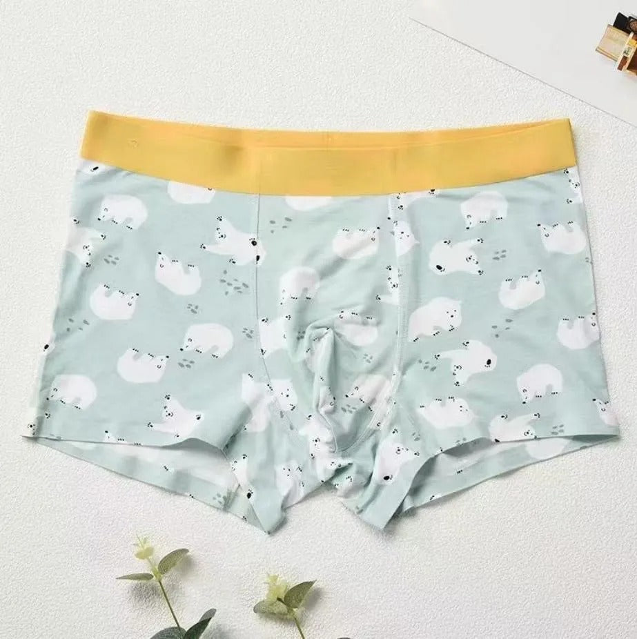 Calzoncillo Bóxer Estampado Ositos
