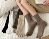 Calcetines Medias Dedos Libres Chic 🧦✨🦶